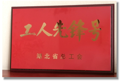 股份公司磷銨分廠磷酸三班喜獲湖北省“工人先鋒號”榮譽(yù)稱號(圖1) 股份公司磷銨分廠磷酸三班喜獲湖北省“工人先鋒號”榮譽(yù)稱號(圖1)